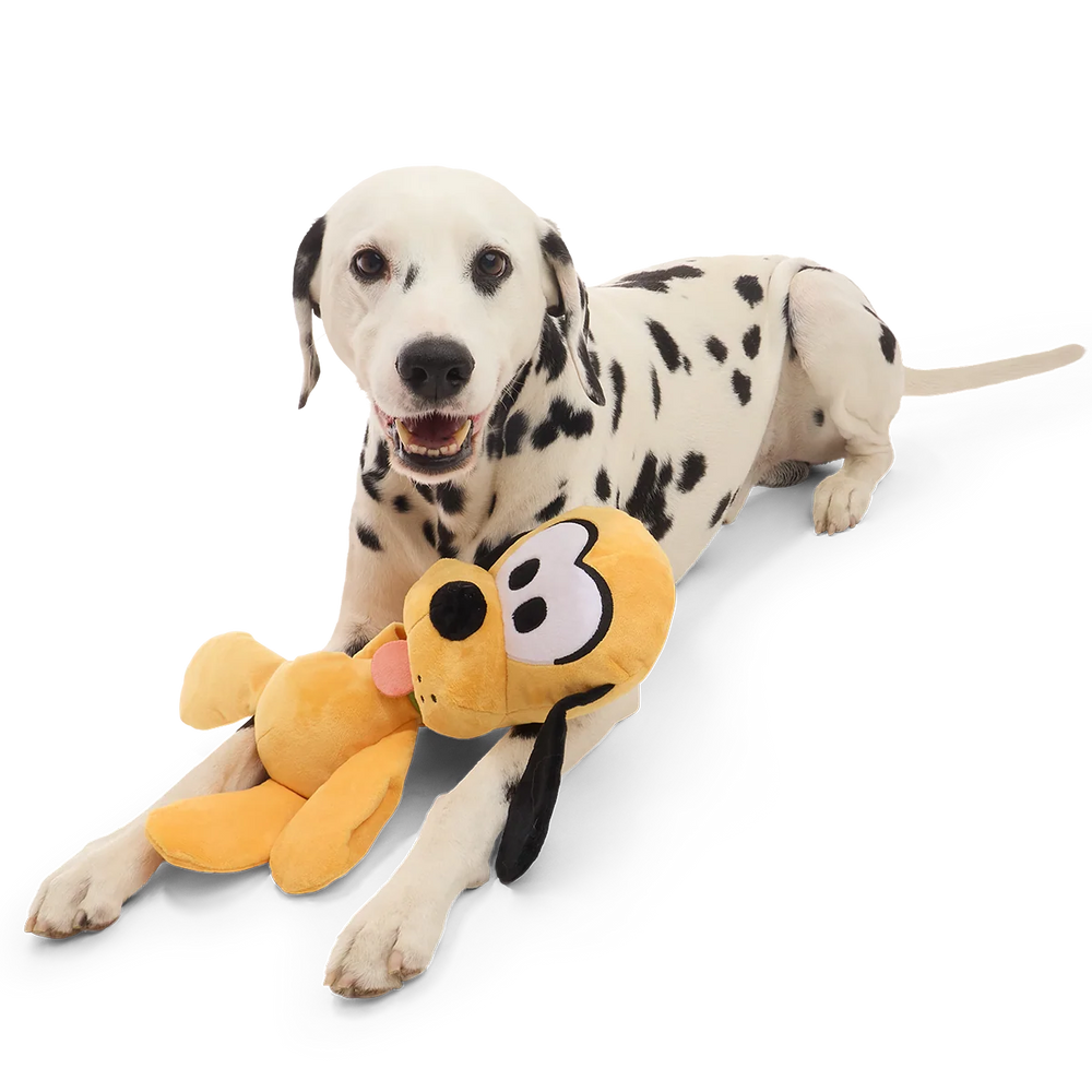 Big Dog Pluto Plush Extra-Large + Tug Dog Toy