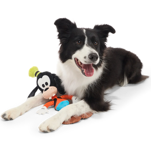 Ginormous Goofy Plush Extra-Large + Tug Dog Toy