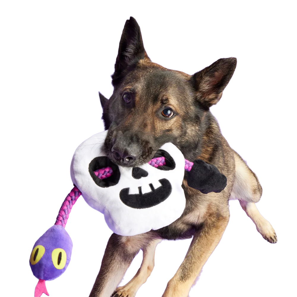 Skull Plush Extra-Large + Tug Dog Toy