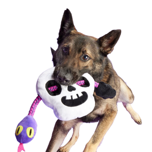 Skull Plush Extra-Large + Tug Dog Toy