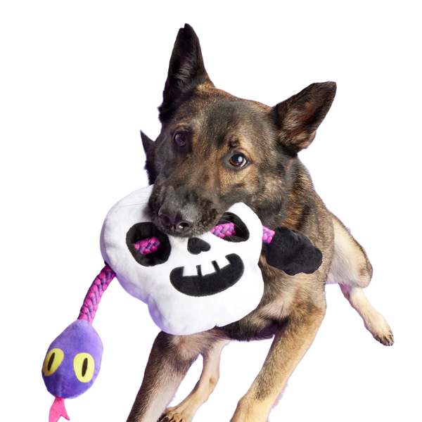 Skull Plush Extra-Large + Tug Dog Toy