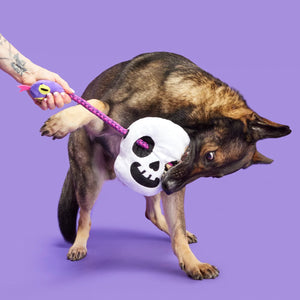 Skull Plush Extra-Large + Tug Dog Toy